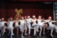 /album/karacsonyi-musical-gala-2012/a156178-317689398340074-1520203513-n-jpg/